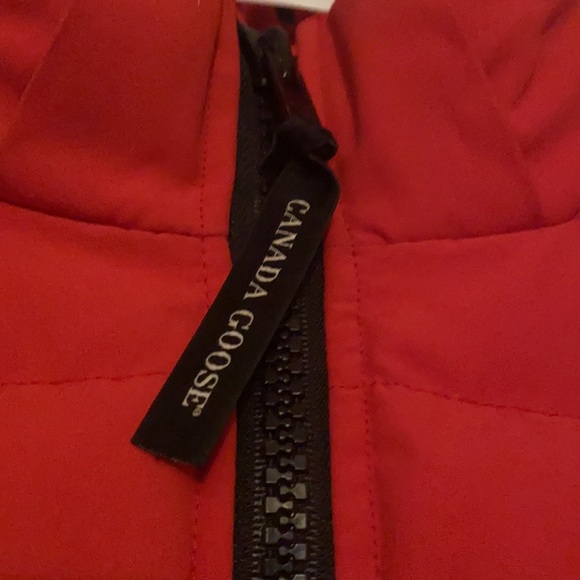 Canadian Goose - Picture 3 of 12